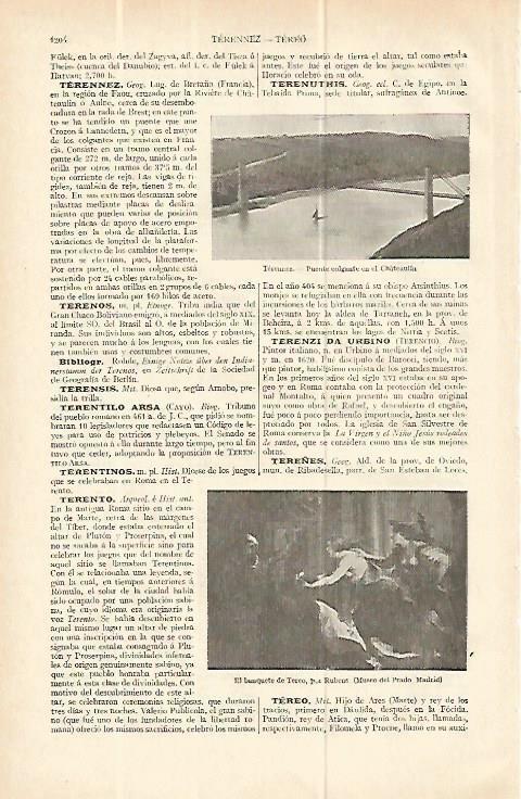 LAMINA ESPASA 13857: Puente de Terennez Francia