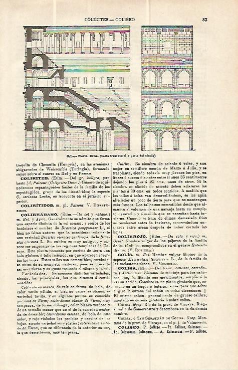 LAMINA ESPASA 13906: El Coliseum de Roma
