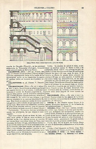 LAMINA ESPASA 13906: El Coliseum de Roma