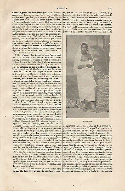 LAMINA ESPASA 13160: Mujer abisinia