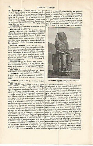 LAMINA ESPASA 13960: Coloso de Memnon Egipto