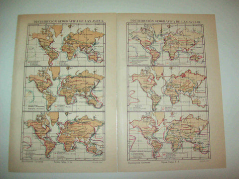 LAMINA ESPASA 13027: Distribucion geografica de las aves