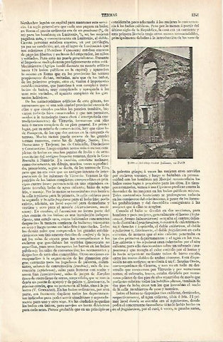 LAMINA ESPASA 13866: Termas del emperador Juliano en Paris