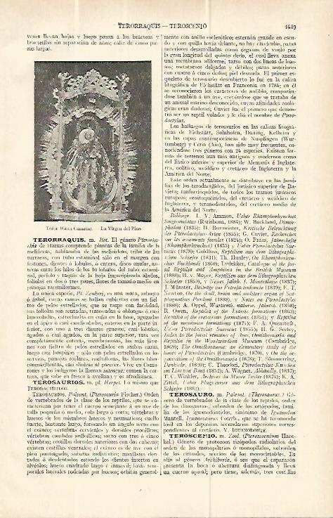 LAMINA ESPASA 13876: Virgen del Pino de Teror Gran Canaria