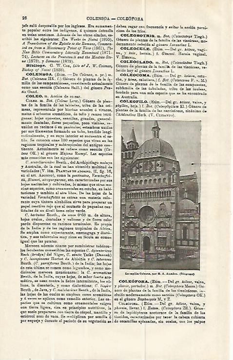 LAMINA ESPASA 13899: Capilla Coleone en Bergamo