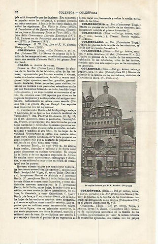 LAMINA ESPASA 13899: Capilla Coleone en Bergamo