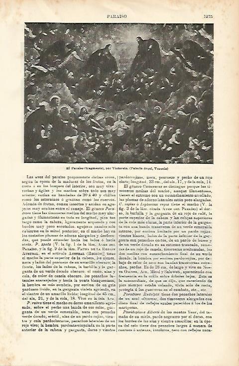 LAMINA ESPASA 1398: Detalle de El Paraiso cuadro de Tintoreto