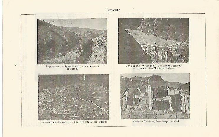 LAMINA ESPASA 1365: Ejemplos de torrentes