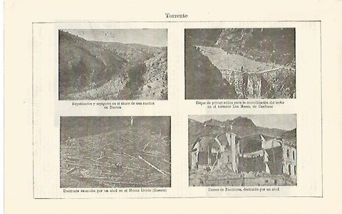 LAMINA ESPASA 1365: Ejemplos de torrentes