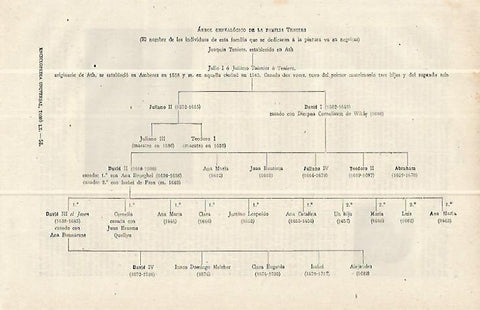 LAMINA ESPASA 13816: Arbol genealogico de la familia Teniers