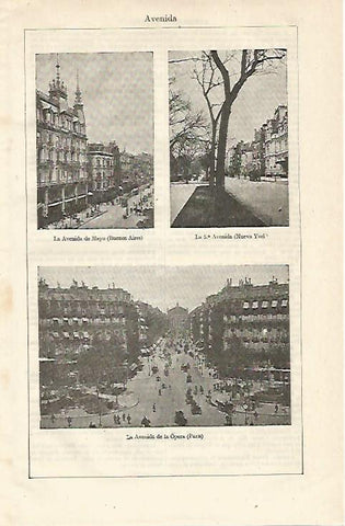 LAMINA ESPASA 13032: Avenidas de Buenos Aires Nueva York y Paris