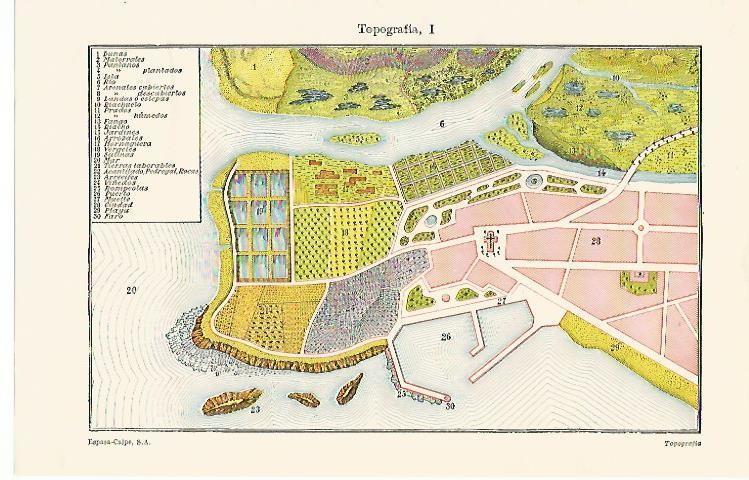 LAMINA ESPASA 1310: Representacion en topografia