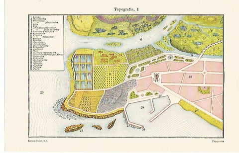 LAMINA ESPASA 1310: Representacion en topografia