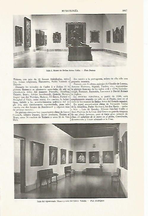 LAMINA ESPASA 13475: Museo de Bellas Artes de Cadiz