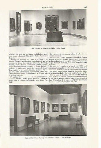 LAMINA ESPASA 13475: Museo de Bellas Artes de Cadiz