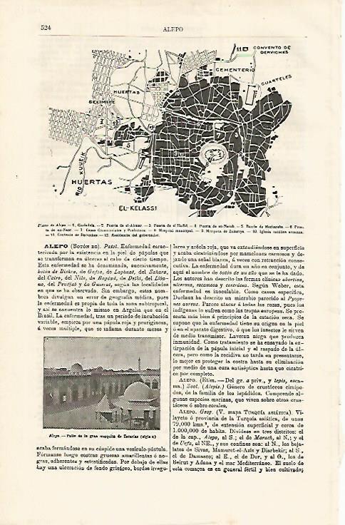LAMINA ESPASA 10014: Plano de Alepo Siria