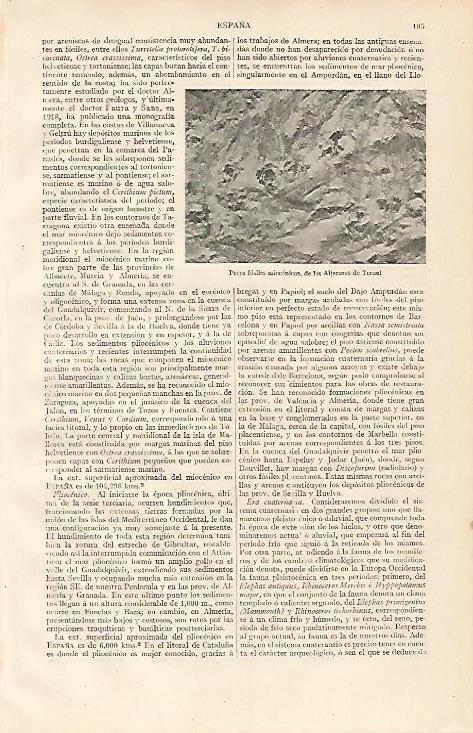 LAMINA ESPASA 10063: Peces fosiles miocenicos en los Aljezares de Teruel
