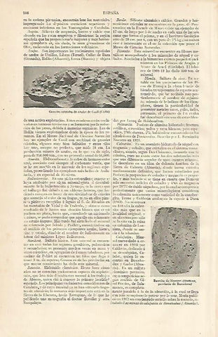 LAMINA ESPASA 10064: Cristales de azufre de Cadiz