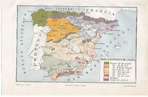 LAMINA ESPASA 10080: Mapa agronomico de España