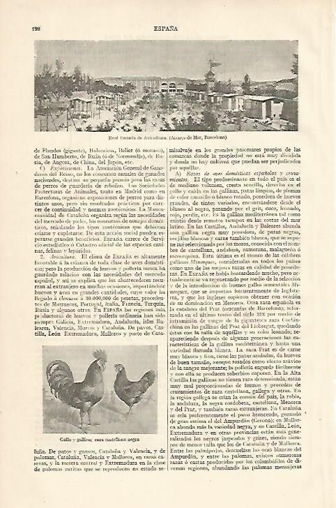 LAMINA ESPASA 10093: Real Escuela de Avicultura en Arenys de Mar Barcelona