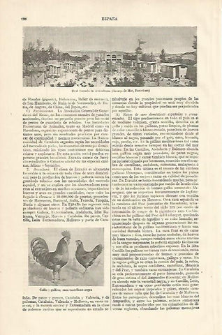 LAMINA ESPASA 10093: Real Escuela de Avicultura en Arenys de Mar Barcelona