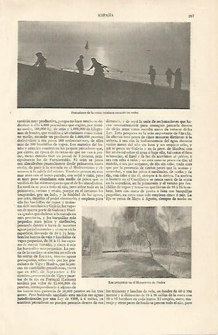 LAMINA ESPASA 10098: Pescadores catalanes