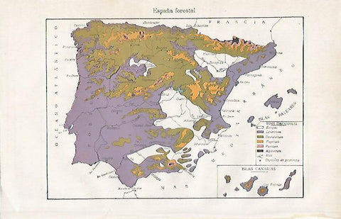 LAMINA ESPASA 10068: Mapa de España forestal