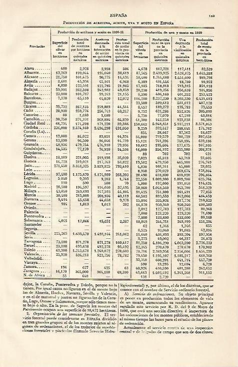 LAMINA ESPASA 10085: Produccion de aceituna aceite uva y mosto en España
