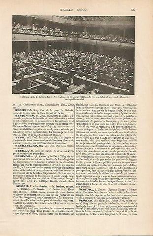 LAMINA ESPASA 585: Ingreso de Alemania en la ONU1926