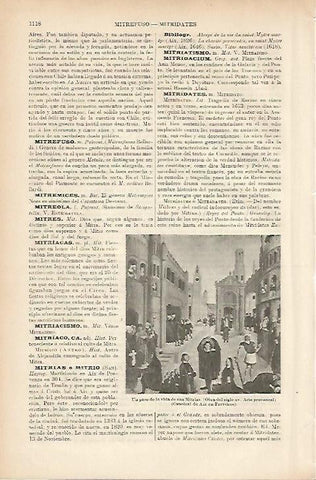 LAMINA ESPASA 5286: Un paso de la vida de San Mitrias.