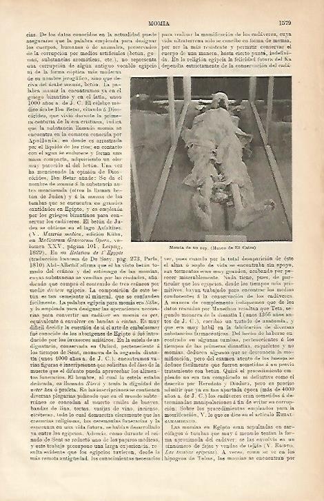 LAMINA ESPASA 5358: Momia en el Museo de El Cairo