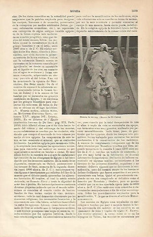 LAMINA ESPASA 5358: Momia en el Museo de El Cairo