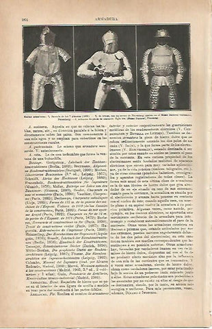LAMINA ESPASA 5592: Medias armaduras