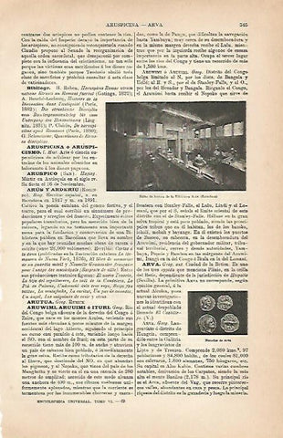 LAMINA ESPASA 5639: Salon de lectura de la Biblioteca Arus Barcelona