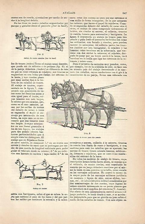 LAMINA ESPASA 5695: Tipos de atalaje