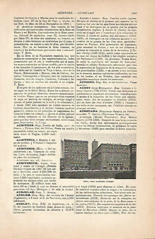 LAMINA ESPASA 5725: Hotel y Auditorium de Chicago