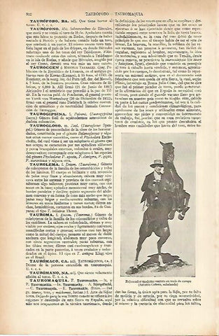 LAMINA ESPASA 5773: Rejoneador con traje de campo