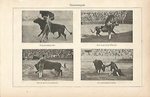 LAMINA ESPASA 5779: Pases de tauromaquia por Belmonte 