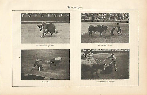 LAMINA ESPASA 5783: Suerte de matar en tauromaquia