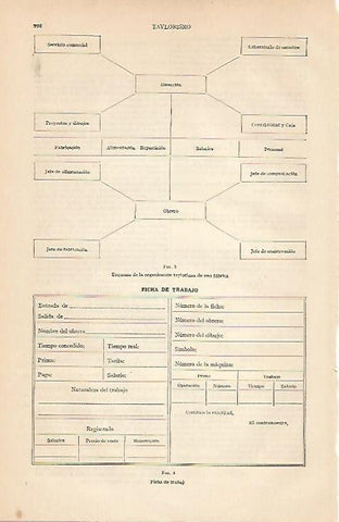 LAMINA ESPASA 5785: Ficha de trabajo. Taylorismo
