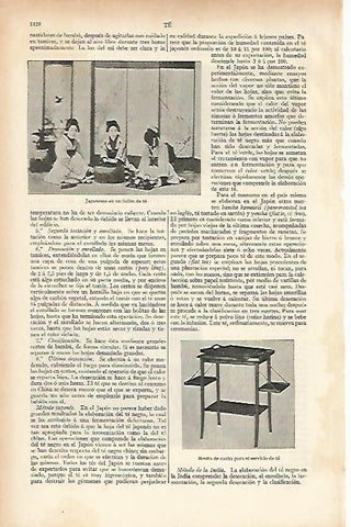 LAMINA ESPASA 5802: Japonesas en un salon de te