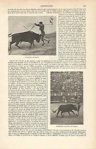 LAMINA ESPASA 5775: Banderillas al cuarteo y al quiebro
