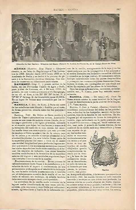 LAMINA ESPASA 5057: Historia de San Raniero fresco de Andrea de Florencia
