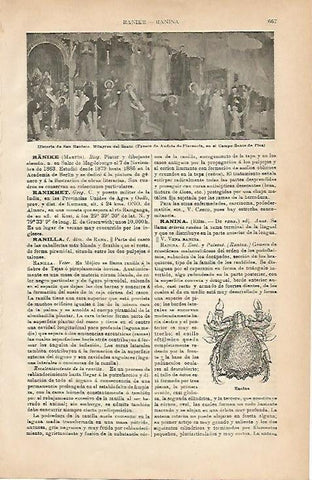 LAMINA ESPASA 5057: Historia de San Raniero fresco de Andrea de Florencia