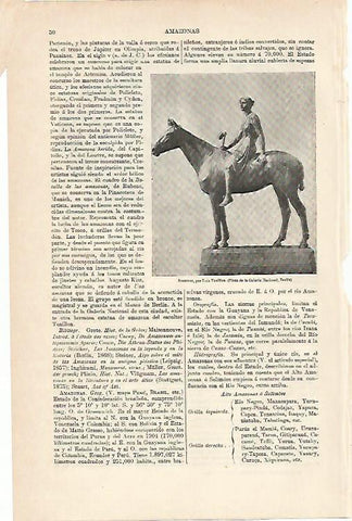 LAMINA ESPASA 5485: Amazona por L. Tuaillon