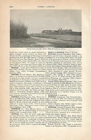 LAMINA ESPASA 3161: Vista de Aviñon Francia