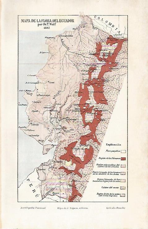 LAMINA ESPASA 3228: Mapa de la flora de Ecuador en 1892