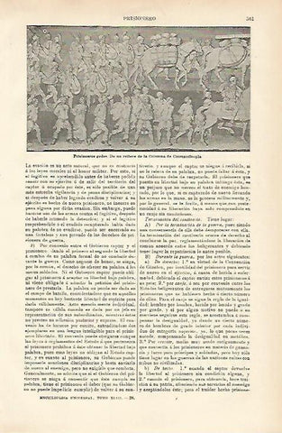 LAMINA ESPASA 3633: Prisioneros godos de una columna de Constantinopla