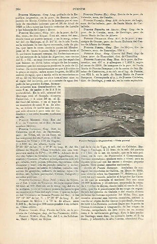 LAMINA ESPASA 3728: Vista general de Puente Sampayo Pontevedra