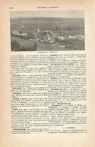 LAMINA ESPASA 3089: Vista general de Divonne-les-Bains Francia